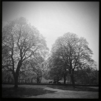 Download Work Drugs remix of Bon Iver’s “Beth/Rest”