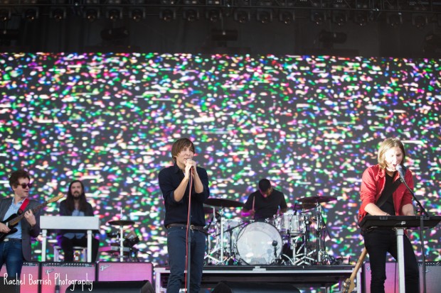 Phoenix | Photo by Rachel Barrish | rachelbarrish.com