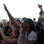 roots picnic