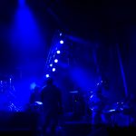 roots picnic