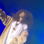 roots picnic