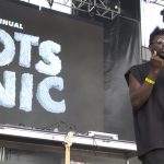 roots picnic