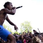 roots picnic