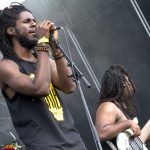 roots picnic