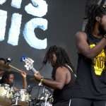 roots picnic