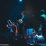 Foals