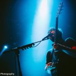 Foals