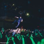 Foals