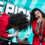 roots picnic