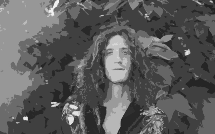 David Shaw on World Cafe