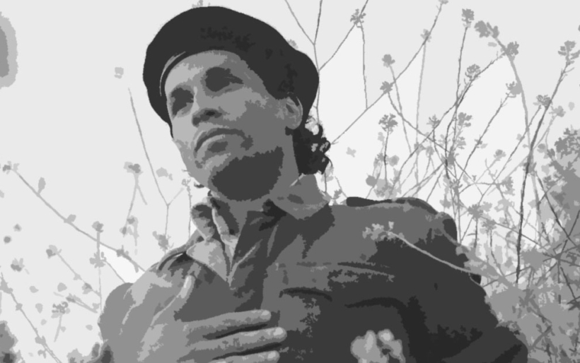 Pachyman on World Cafe